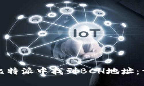 如何在比特派中找到BCH地址：详细指南