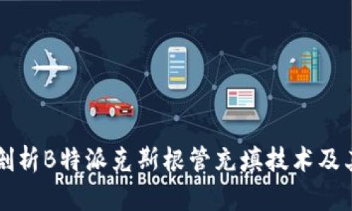 全面剖析B特派克斯根管充填技术及其应用