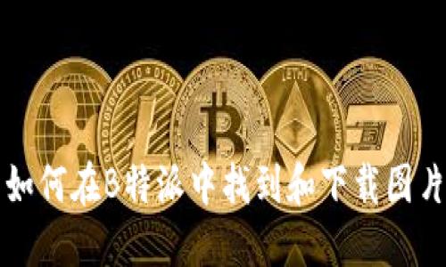 如何在B特派中找到和下载图片