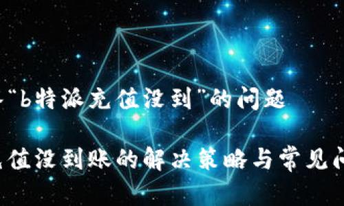 为您解答“b特派充值没到”的问题

“b特派充值没到账的解决策略与常见问题解答”