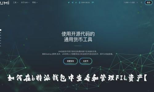 如何在b特派钱包中查看和管理FIL资产？