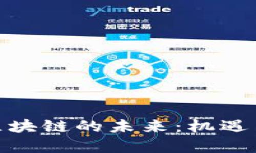 金融区块链的未来：机遇与挑战