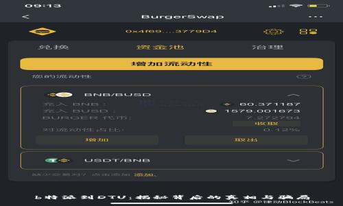 b特派到DTU：揭秘背后的真相与骗局