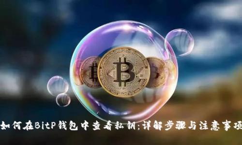 如何在BitP钱包中查看私钥：详解步骤与注意事项