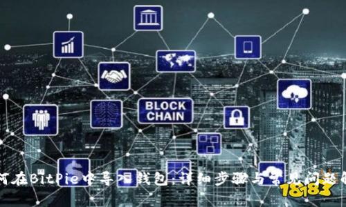 如何在BitPie中导入钱包：详细步骤与常见问题解析