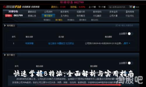 快速掌握B特派：全面解析与实用指南