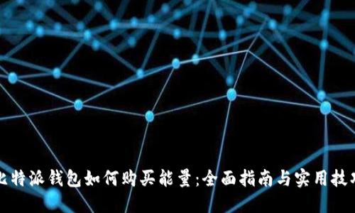 比特派钱包如何购买能量：全面指南与实用技巧