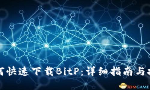 如何快速下载BitP：详细指南与技巧