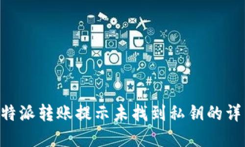 解决B特派转账提示未找到私钥的详细指南