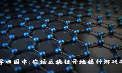 沉浸在数字田园中：农场区块链开地播种游戏的