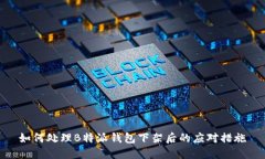 如何处理B特派钱包下架后的应对措施